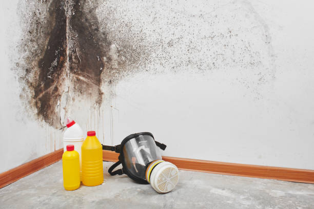 Best Mold Testing  in Cuero, TX