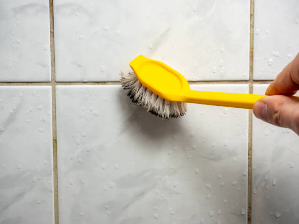 Best Mold Testing  in Cuero, TX